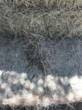 Water damage on our hay.