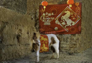 Photo Credit: Don Telford