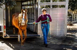 Duke arrived on March 8.