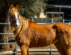 Duke when he arrived on March 8, 2024