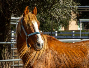 We are eager to see Duke thrive.