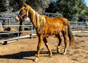 We are grateful for your support!