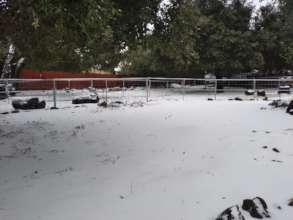 Winter Wonderland