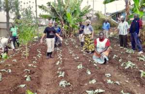 Staff uses school grounds to grow food