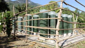 This is a Spirulina Algae Farm!