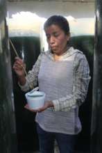 This is how spirulina is produced and collect