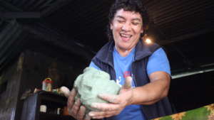 Corn dough to make tortilla added with spirulina.
