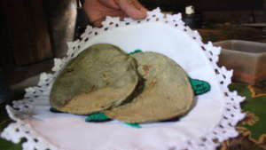 Tortilla added with spirulina algae.