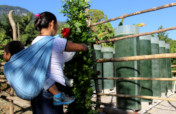 Spirulina farm for 50 malnourished tenek families