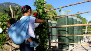 Spirulina farm for 50 malnourished tenek families