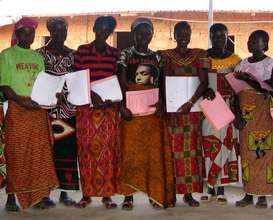 Train 300 Liberians in literacy and democracy