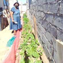 Ceceila says raw veg helps her blood pressure