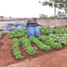 Lungelwa is inspired to become a farmer