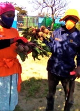 Students' diets now include fresh beets & spinach