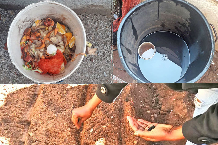 Food Gardens for Hungry South African Families