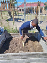 Learners plant seeds after their garden harvest