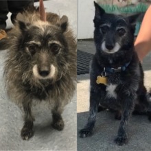 Spike Before and After