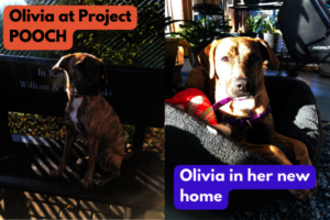 Olivia arriving in her new home