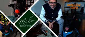 Milo Goes Home