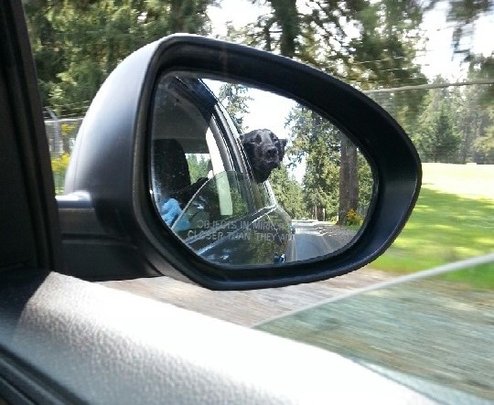 Going Home!