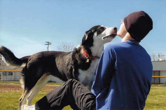 POOCH youth and dog forging a friendship