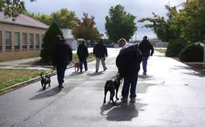 POOCH youth walking dogs
