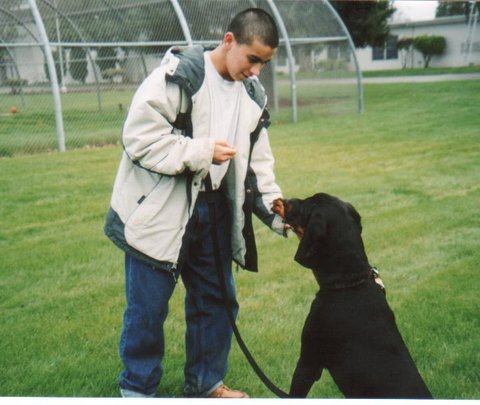 Hunter learning obedience