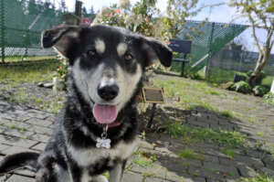 Parker (Adopted May 2022)