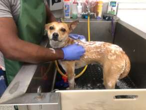 Bath time for Luna