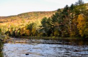 Deer Run Nature Preserve Phase 2