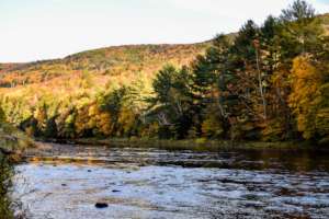 Deer Run Nature Preserve Phase 2