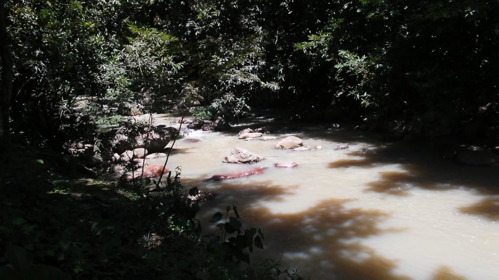 Safe, Clean Water for Families in Rural Honduras