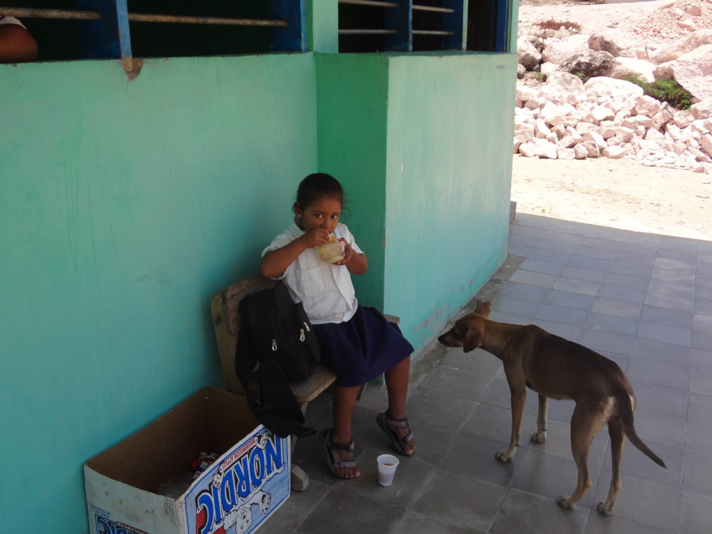 Safe, Clean Water for Families in Rural Honduras