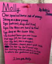 Molly was loved