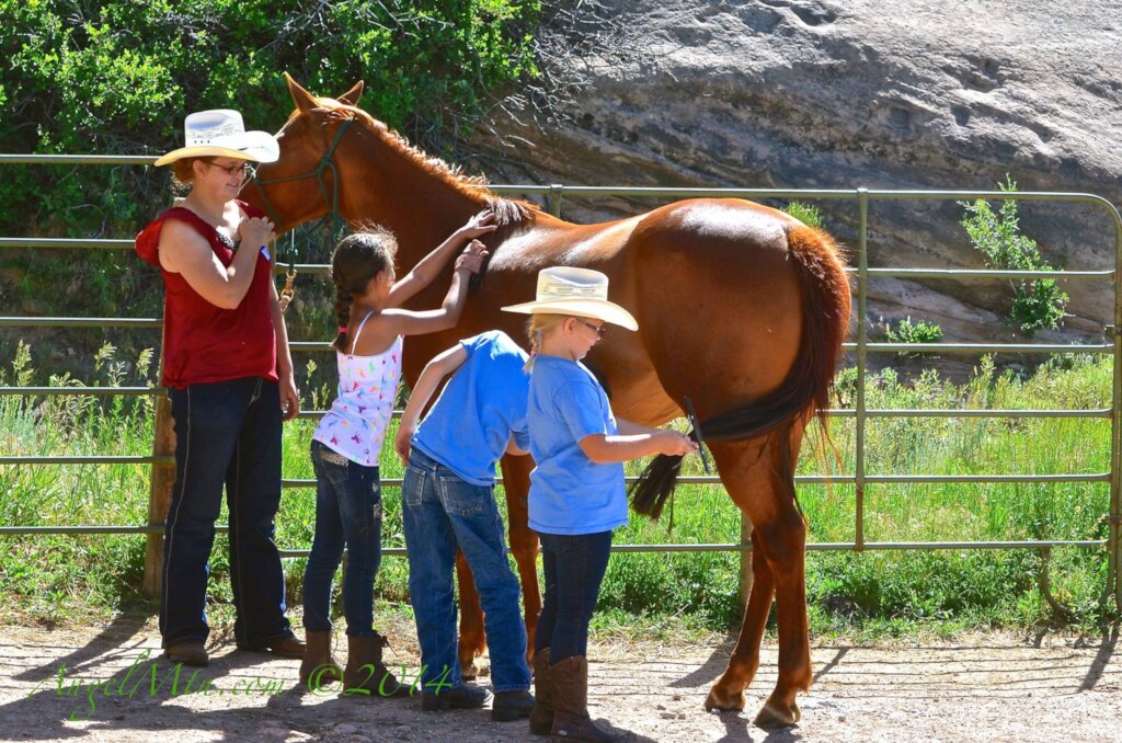 Molly and Kira teaching kids how to groom