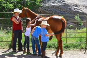 Molly and Kira teaching kids how to groom