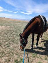 Sven grabbing a quick snack before a lesson