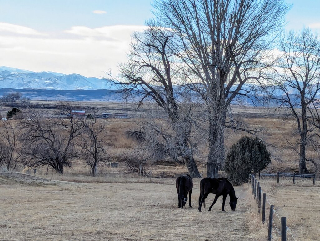 Broken Horses Healing Broken Kids in Colorado