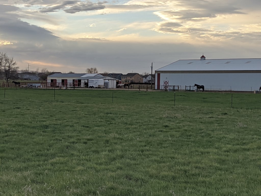 Broken Horses Healing Broken Kids in Colorado