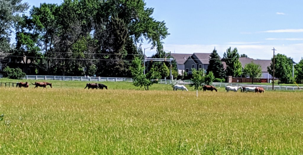 Broken Horses Healing Broken Kids in Colorado