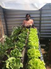 Grow vegetable gardens for Guatemalan families