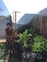 Grow vegetable gardens for Guatemalan families