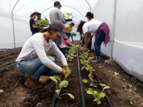 Students transplanting flowers in Huehuetenango