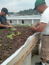 Raised Bed Garden