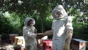 Mara and Ofir Placing first Beehives upon arrival!