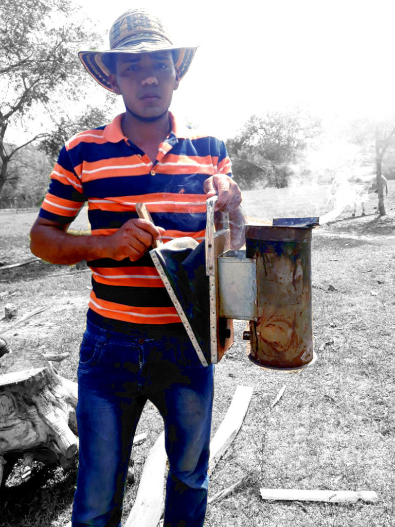 120M Bees Live & 10 Colombian Rural Youth Thrive