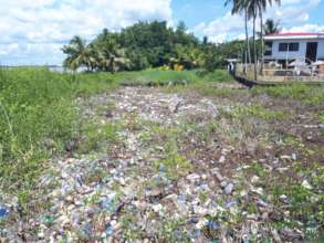 Plastic pollution on its way to sea