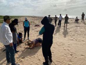 Learning to dig a perfect sea turtle nest