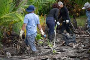 World Ocean Week Cleanup at Leonsberg