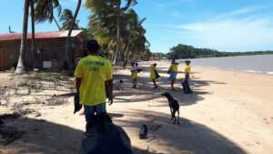 Cleanup at Galibi